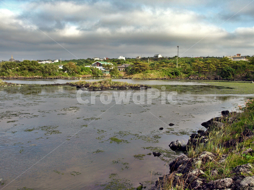 대섬,철새도래지,제주,올레18코스,올레길,자연,풍경,nature,landscape,제주도,jeju,jeju island,outdoors,옥외,land,땅,water,물