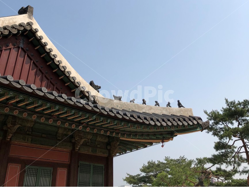 building,건물,architecture,건축물,palace,처마,지붕,하늘,한국건축물,전통건축물,한옥,기와,어처구니,창덕궁
