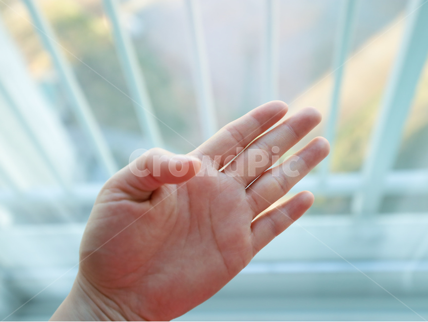손바닥,human,인간,person,사람,finger,손가락,손금,손,피부,살색,사람,인물,인간,human,person,신체일부,몸,body