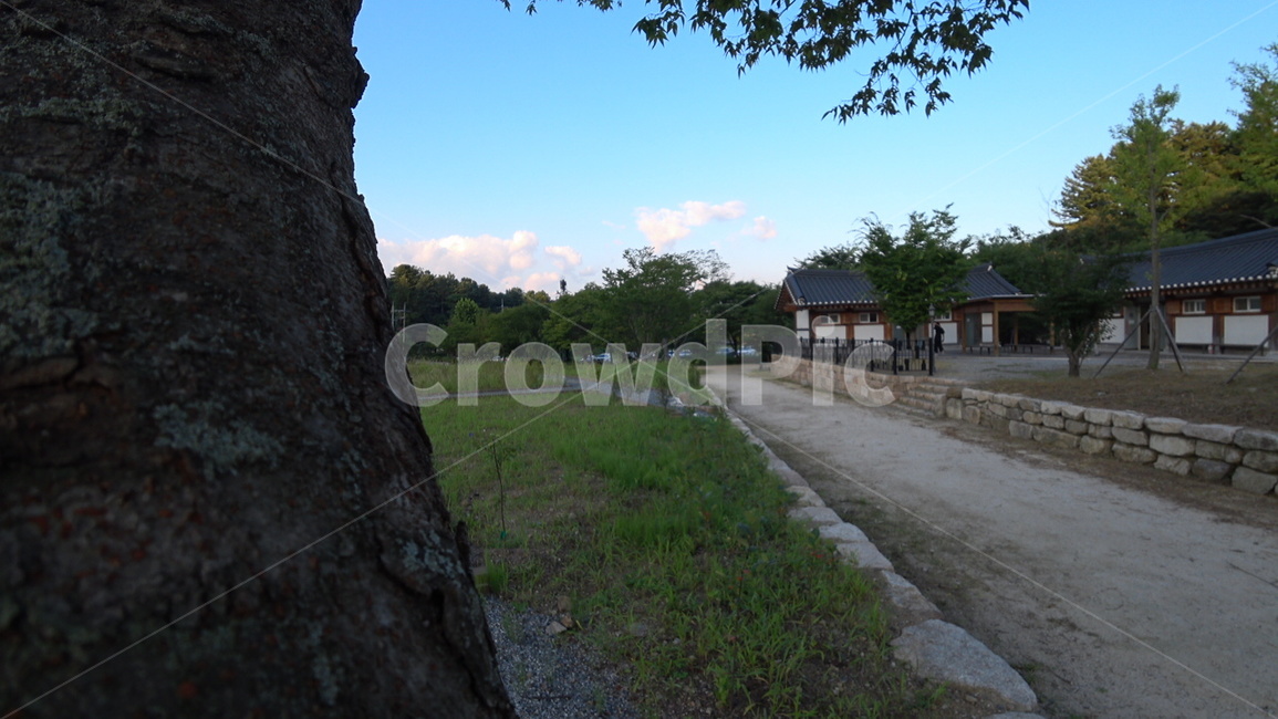 outdoors,옥외,기화집,나무,흙길,산책,하늘,구름,풀