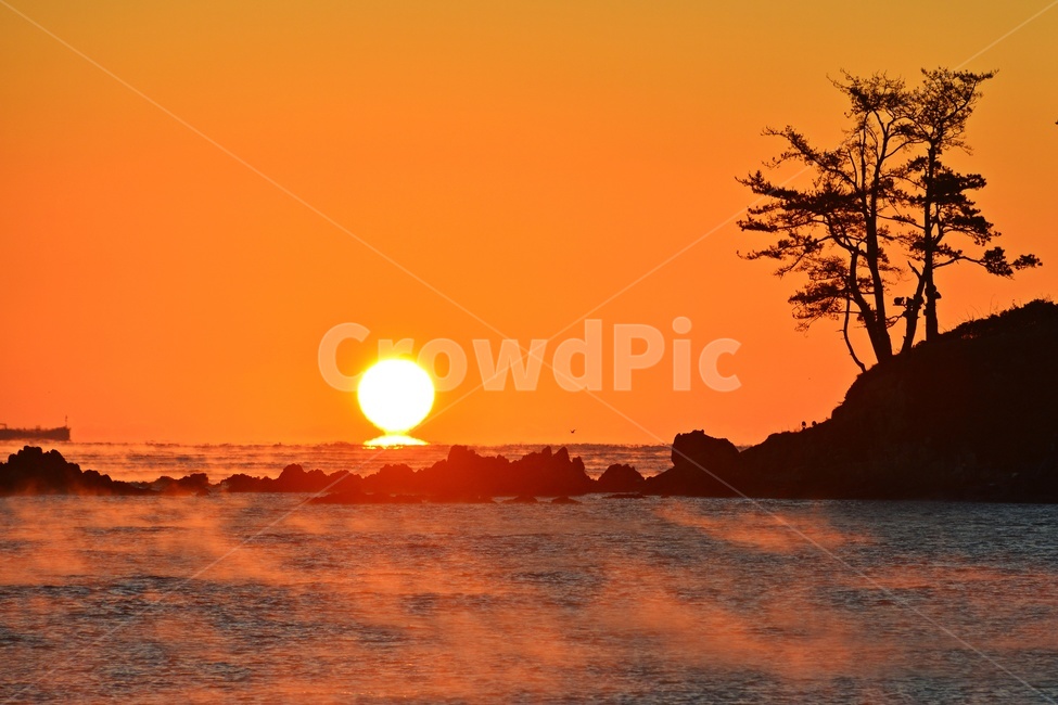 nature,자연,outdoors,옥외,sky,하늘,dawn,새벽,redsky,붉은하늘,sunlight,햇빛,울산,울주,명선도,강양항,명선도아침,일출,해돋이,여명,소나무,경치,경관,풍경,물안개,자연,풍경,nature,landscape