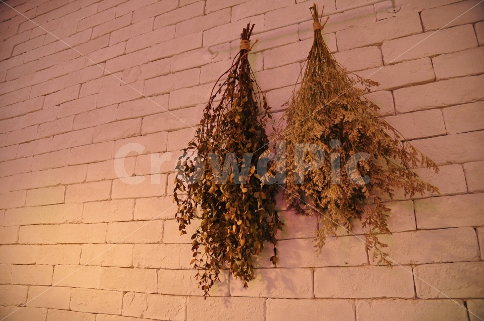 카페,벽,식물,인테리어,드라이플라워,벽돌,조명,불빛,무드,cafe,plants,wall,bricks,interior,dry,dryflowers,dryplants,lamp,lights,mood,식물,자연,plants,nature,꽃,flower,인테리어,실내디자인,interior design