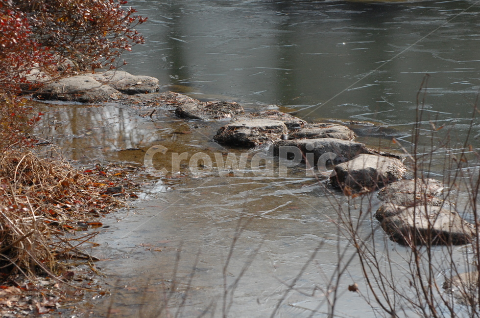 겨울,냇가,얼음,돌,징검다리,겨울,계절,winter,season,자연,풍경,nature,landscape,water,물,outdoors,옥외,animal,동물,sea life,해양 생물,turtle,터틀