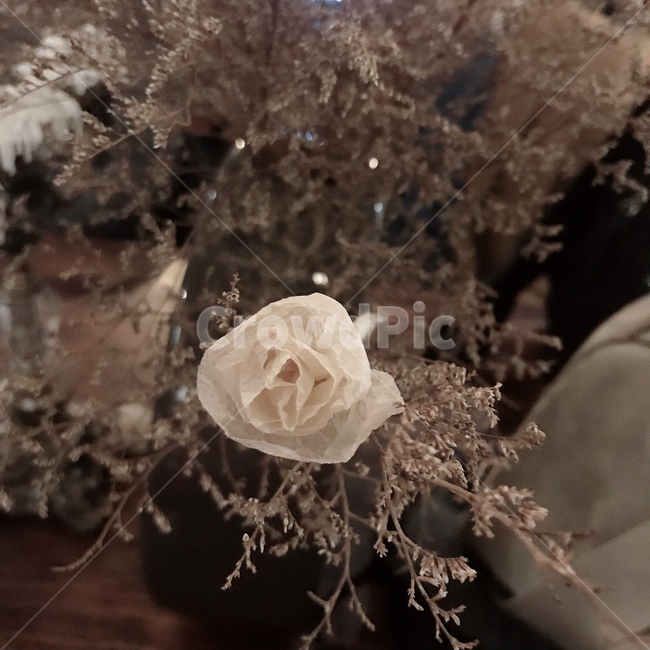 냅킨,장미,꽃,카페,조화,꽃,flower