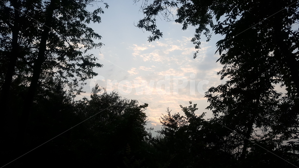 산,하늘,나무,나무사이하늘,구름,정상,등산,건물,용마산,망우산,면목,사가정,상봉