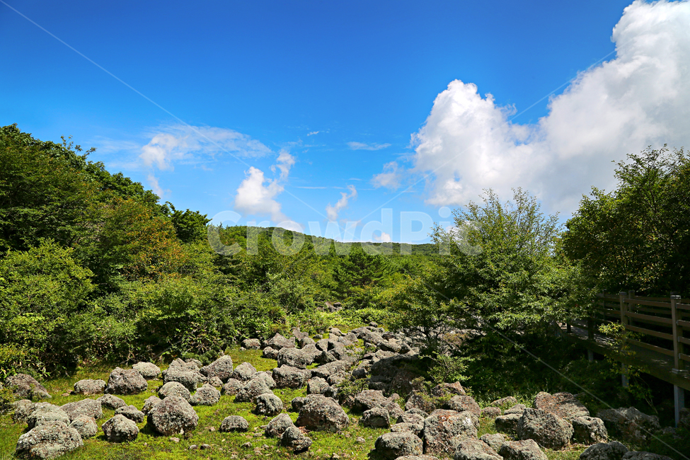 제주도,한라산,1100고지,한라산풍경,1100고지풍경,산,nature,자연,옥외,outdoors