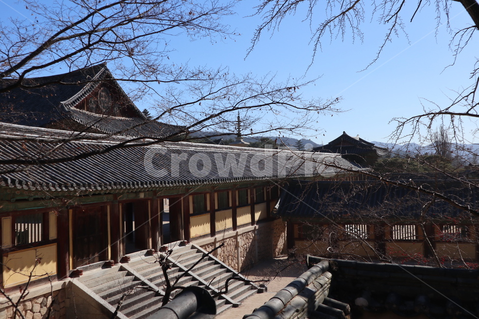 불국사,겨울불국사,전통건축물,한옥,전통사찰,절,한국전통,한국문화,korean traditional,korean culture