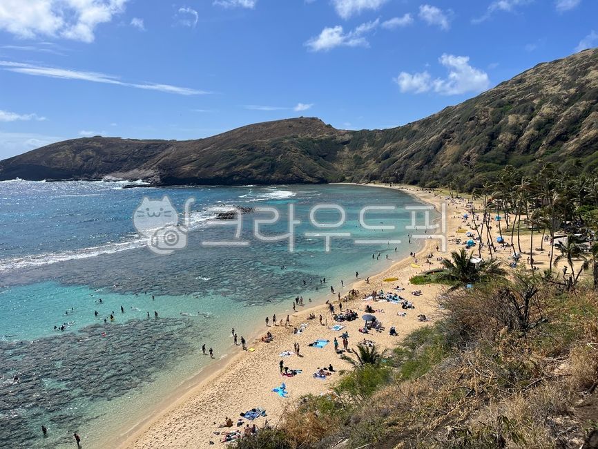 하와이,휴양지,하나우마베이,바다와산,해변가,오아후,야쟈수,모래해변,산과바다