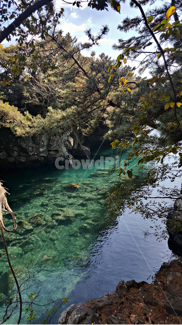 쇠소깍,자연,nature,물,water,outdoors,옥외