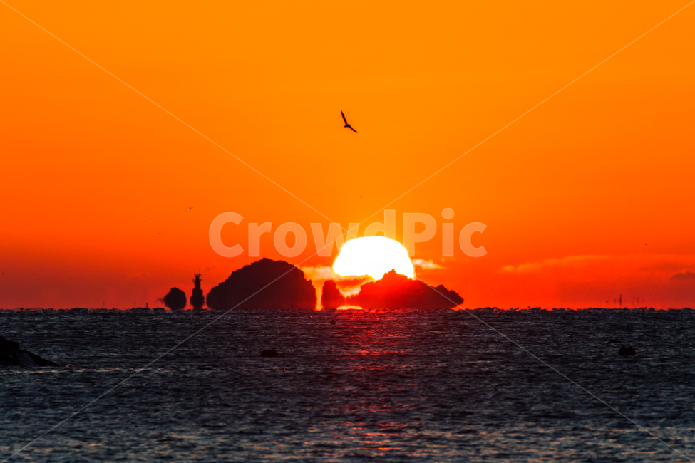 일출,해,풍경,landscape,바다일출,거제바다,궁농마을일출,자연,풍경,nature,landscape,한국자연풍경,한국자연경관,korea nature landscape,outdoors,옥외,sunlight,햇빛,animal,동물,bird,새,dawn,새벽,sky,하늘,dusk,황혼,red sky,붉은 하늘,sunset,일몰