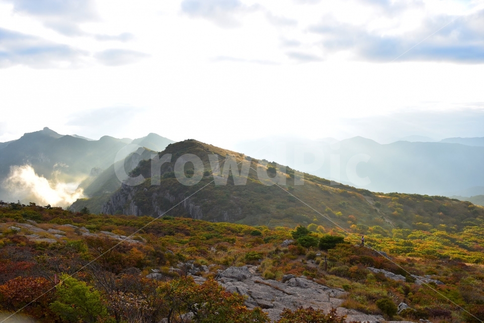 영축산,신불산,영남알프스가을,풍경,낙엽,명산,자연,비경,단풍나무,가을색,가을색채,가을풍경,운해,장관,구름,억새,영알,억새평전,mountain,landscape,가을,계절,fall,autumn,season,자연,풍경,nature,landscape,한국자연풍경,한국자연경관,korea nature landscape,outdoors,옥외,plateau,고원