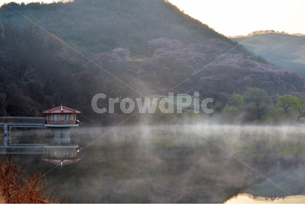 몽환,안개,자연경관,풍경,물,산,음산,적막,고요,아름다운,자연풍경,조용,자연,풍경,nature,landscape,한국자연풍경,한국자연경관,korea nature landscape,outdoors,옥외,weather,날씨