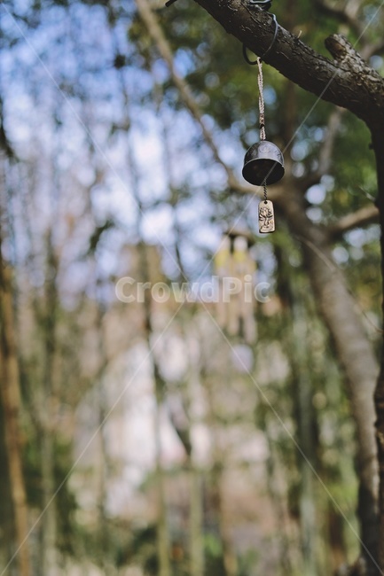 풍경,나무,windbell,대나무,tree,bamboo,사물,물건,오브젝트,thing,object,matter