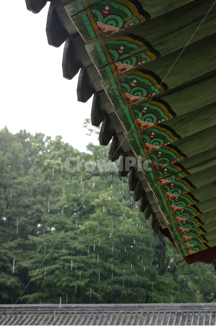 창덕궁,고궁,기와지붕,건축,traditional,처마,비,단청,한국전통,한국문화,korean traditional,korean culture,비,비오는날,rain,rainy