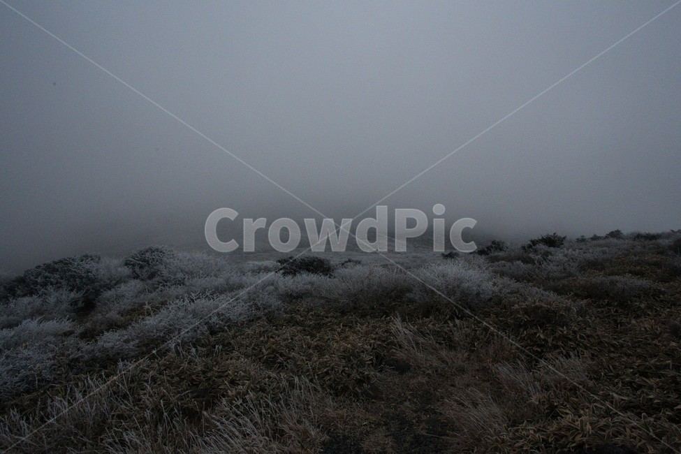한라산,제주도,산,상고대,자연,숲,겨울,눈,눈꽃,snow