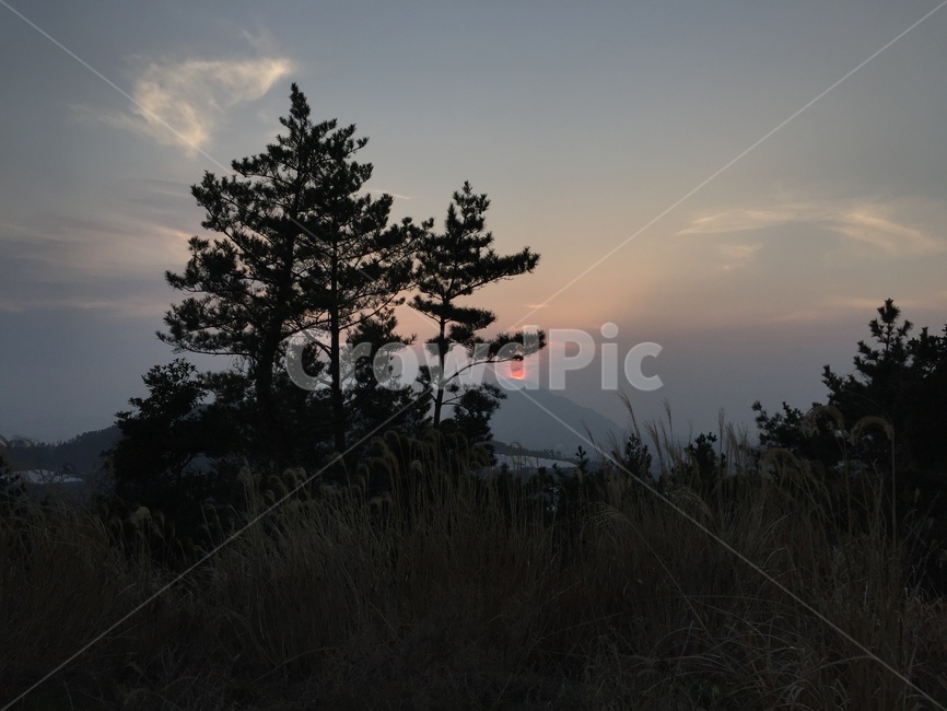 일몰,산,제주도,오름,자연,풍경,자연,풍경,nature,landscape,실루엣,그림자,silhouette,shadow,tree,나무,plant,식물,outdoors,옥외