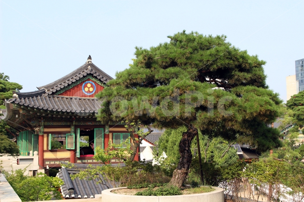 절,지붕,하늘,봉은사,기와,전통,한옥,한국,korea,korean,traditional,한국전통,한국문화,korean traditional,korean culture,종교,신앙,religion,belief,faith