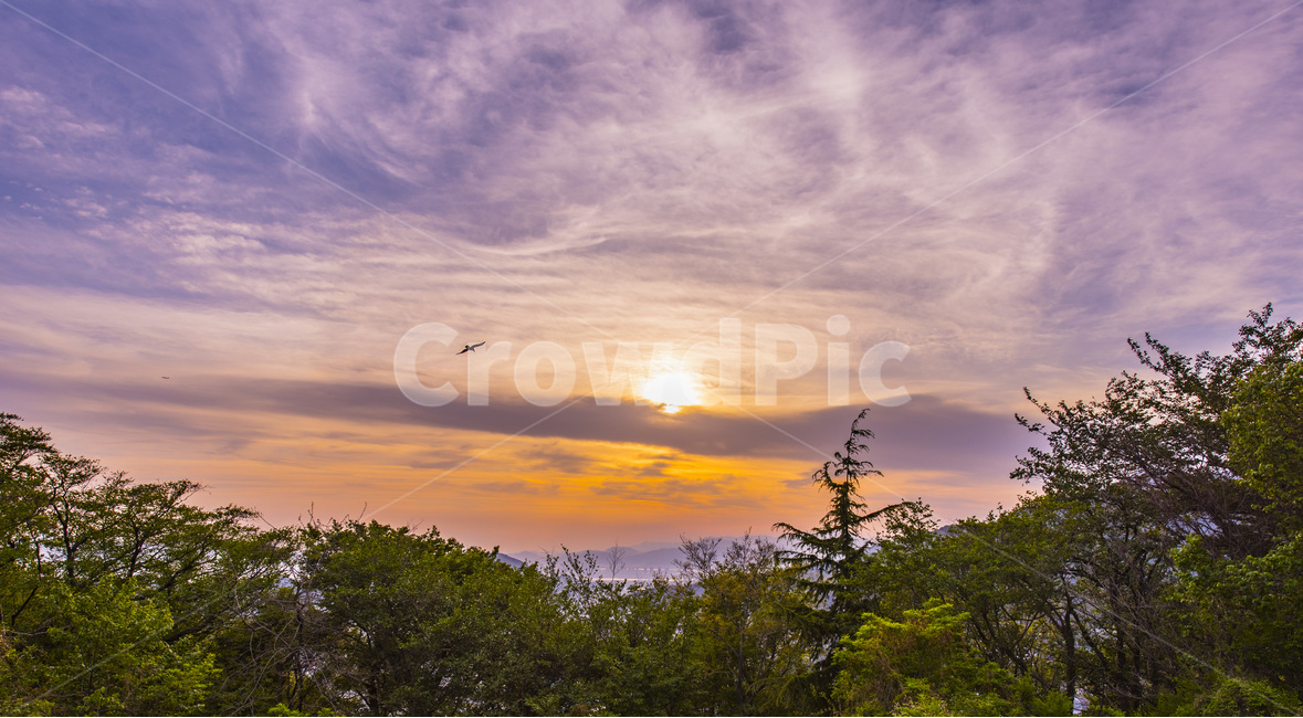 노을,풍경,풍경사진,노을빛,감성,자연,풍경,nature,landscape,한국자연풍경,한국자연경관,korea nature landscape,outdoors,옥외,animal,동물,bird,새