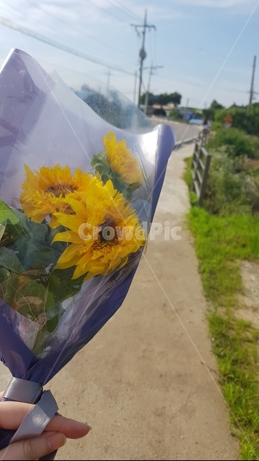 flower,해바라기,꽃,sunflower,bouquet,꽃다발,길