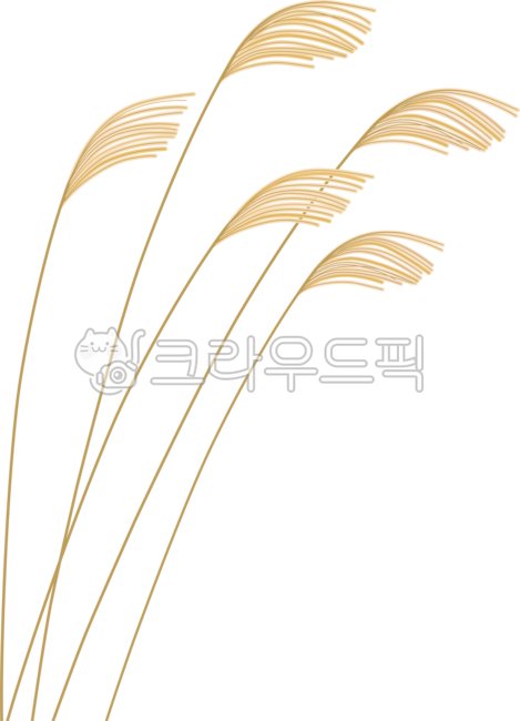 갈대, reed, 억새, 갈대일러스트, 갈대png, 사진,이미지,일러스트,캘리그라피 - April29작가