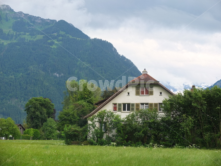 해외,스위스,인터라켄,자유,하늘,초원,swiss,paragliding,호수,산,interlaken