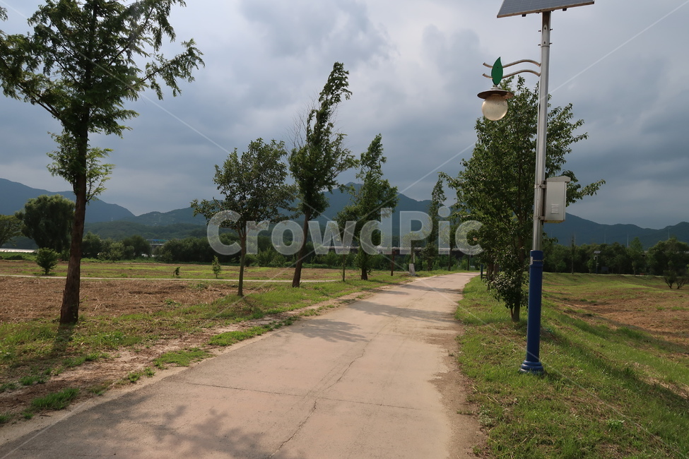 산책로,boardwalk,양평,다리,두물머리,한국,경기도양평
