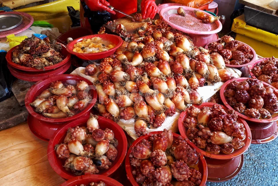 멍게,바다,food,식사,meal,음식,음식,식재료,요리,food,cook,meal,dishes,food reserves,수산물,해산물,fishery products,seafood