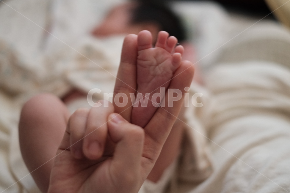 신생아,아기,아기발,엄마손,베이비,사람,인물,인간,human,person,영유아,아기,애기,아이,infants,baby