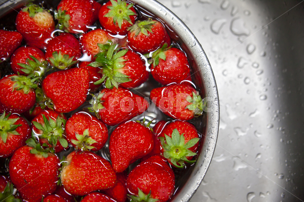 strawberry,딸기,food,음식,fruit,과일,plant,식물,접사,물방울,음식,식재료,요리,food,cook,meal,dishes,food reserves,과일,열매,fruit