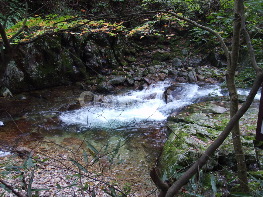 자연,물,계곡,피서,휴식,자연,풍경,nature,landscape,water,outdoors,옥외,stream,흐름,creek,작은 만
