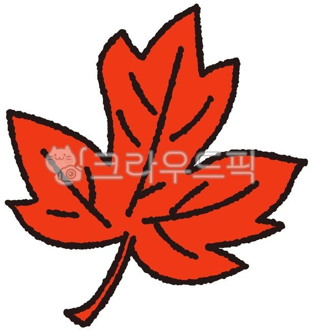 Maple leaves,autumn,fallen leaves,red maple leaves,maple tree,maple festival,maple illustration,maple play