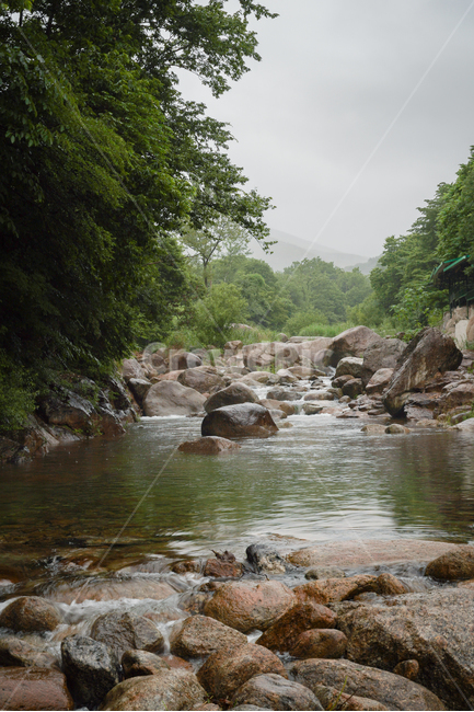 valley,계곡,맑은물,시원함,산속,여름,계절,summer,season,자연,풍경,nature,landscape,water,물,outdoors,옥외,stream,흐름,creek,작은 만