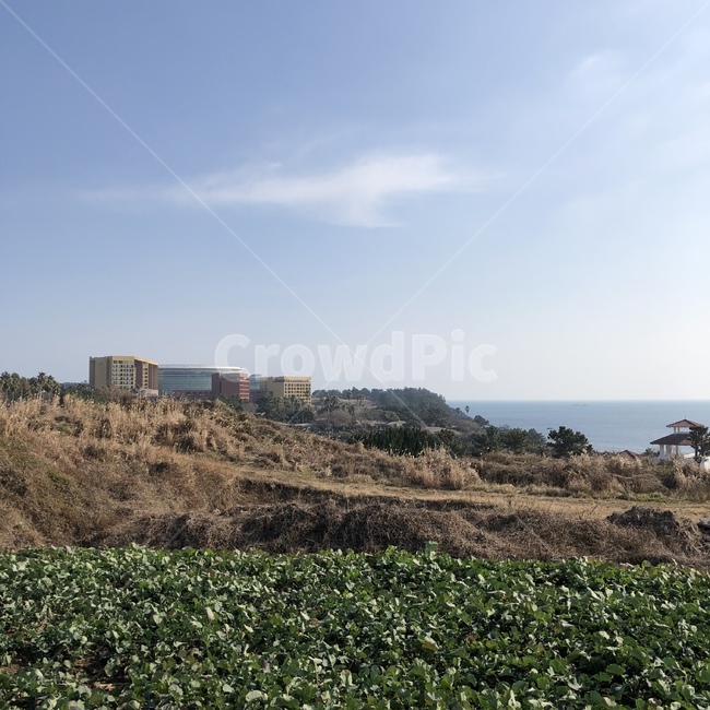 풍경,하늘,풀,바다,바닷가,자연,풍경,nature,landscape,outdoors,옥외