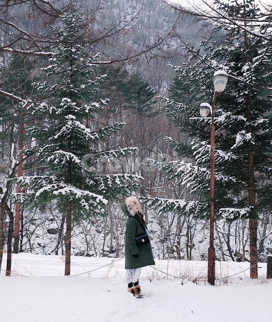 겨울,여행,산,겨울풍경,눈,자연,나무,방태산,season,snow,winter,photo,인물사진,겨울,계절,winter,season,자연,풍경,nature,landscape,사람,인물,인간,human,person,여성,여자,woman,female,lady,감성,sensible,feeling,tree,plant,식물,fir,전나무