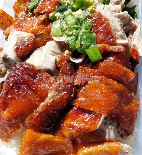 오리고기,duck,duckrice,오리요리,덕라이스,크리스피덕,음식,식재료,요리,food,cook,meal,dishes,food reserves