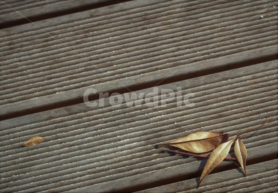 가을,낙엽,마루,바닥,감성샷,가을,계절,fall,autumn,season,wood,나무
