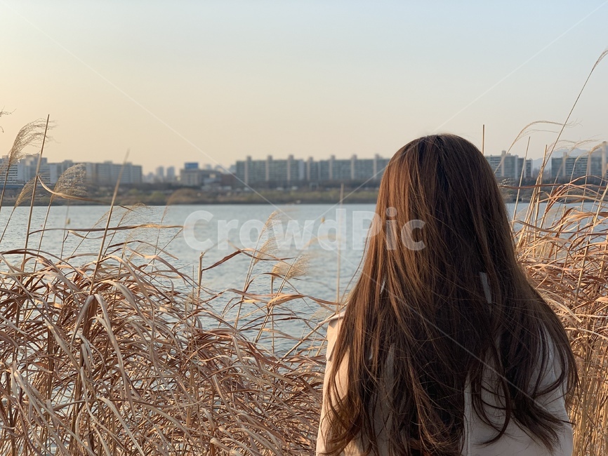 가을,힐링,한강,노을,갈대,가을,계절,fall,autumn,season,사람,인물,인간,human,person,여성,여자,woman,female,lady,고독함,외로움,쓸쓸함,우울함,슬픔,lonely,solitary