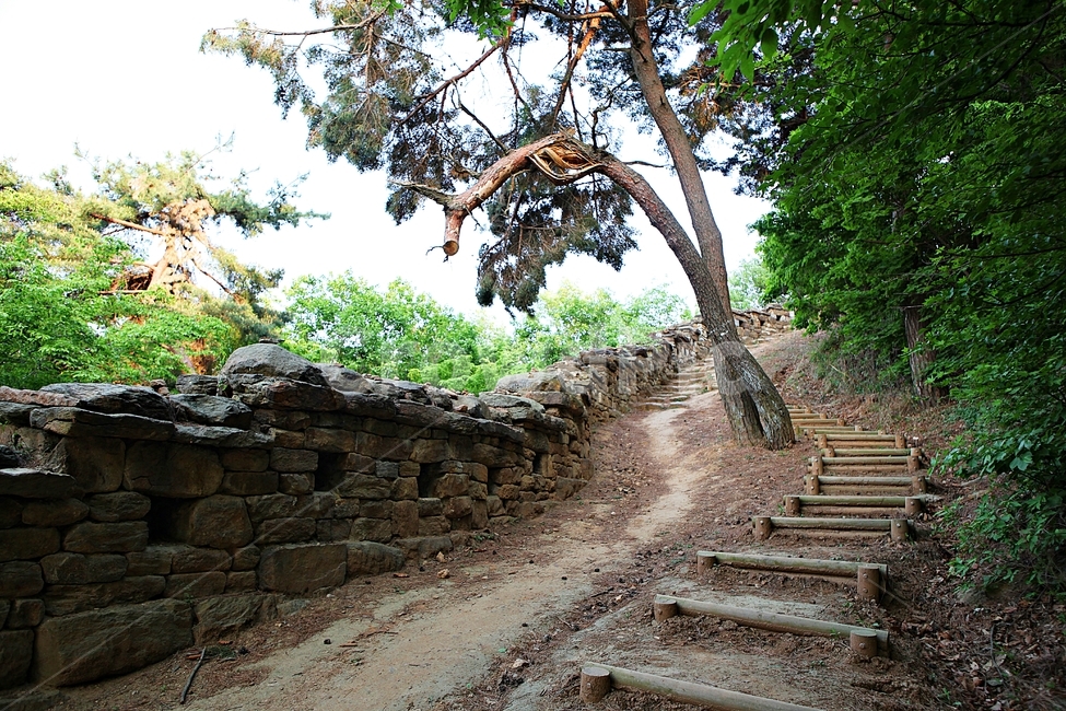 성,전등사,성곽,둘레길,돌담,풍경,배경,자연