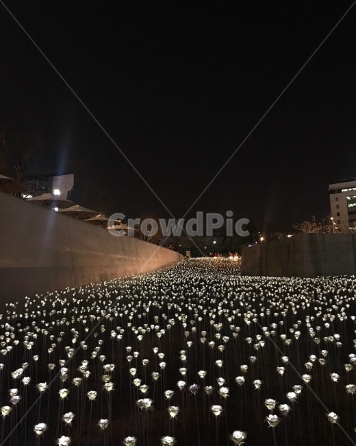 풍경,밤,봄,야경,landscape,야경,밤,풍경,nightscape,night,landscape