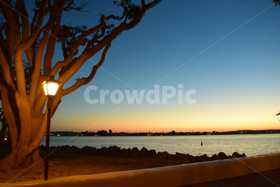 선셋,노을,바다,샌디에고,나무,자연,nature,sunset,sandiego,야경,밤,풍경,nightscape,night,landscape