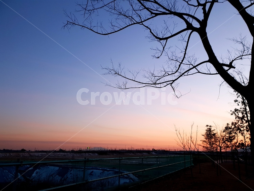 일몰,하늘,석양,나무,풍경,겨울,nature,자연,outdoors,옥외,sky,dusk,황혼,sunset,dawn,새벽,red sky,붉은 하늘