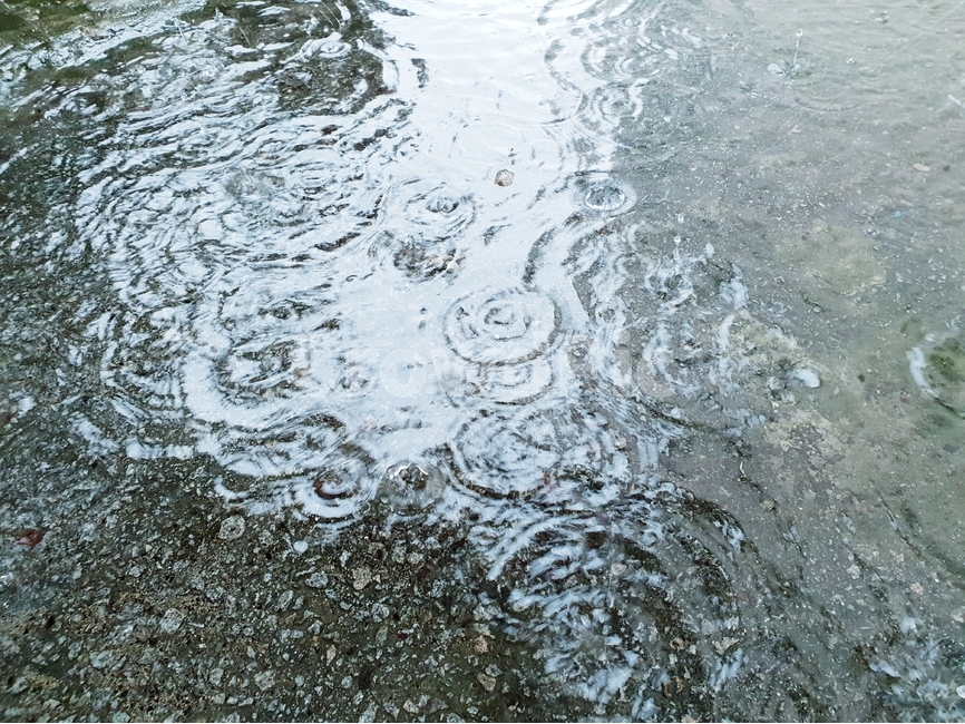 빗방울,물,빗물,패턴,배경,날씨,감정,비오는날,rain,raindrops,background,weather,pattern,비,비오는날,rain,rainy