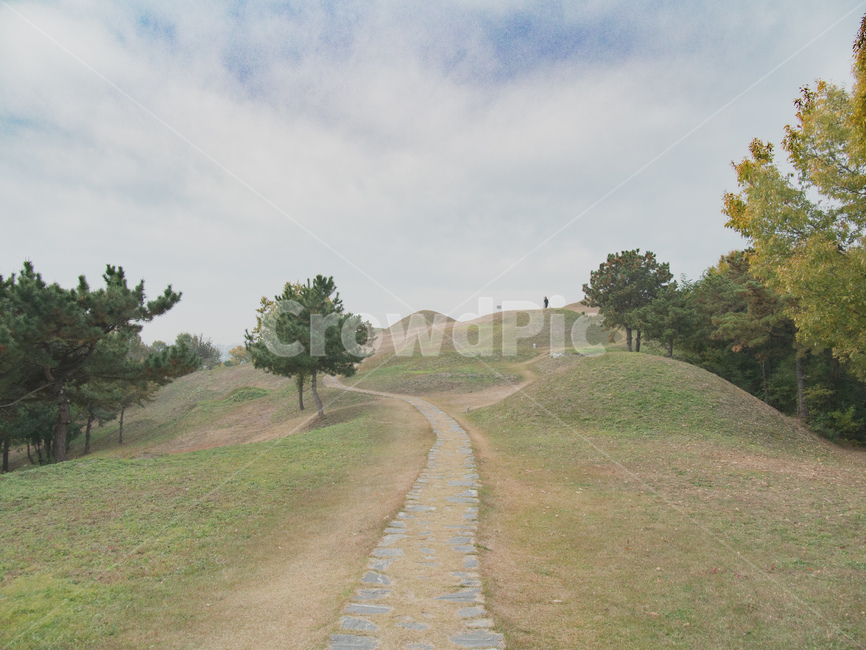 grassland,field,들,outdoors,옥외,공원,하늘,풍경,자연,풍경,nature,landscape