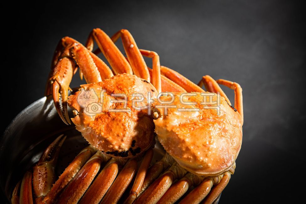 러시아대게,대게,홍게,대게찜,대게장,대게살,대게요리,해산물,음식,식재료,요리,food,cook,meal,dishes,food reserves