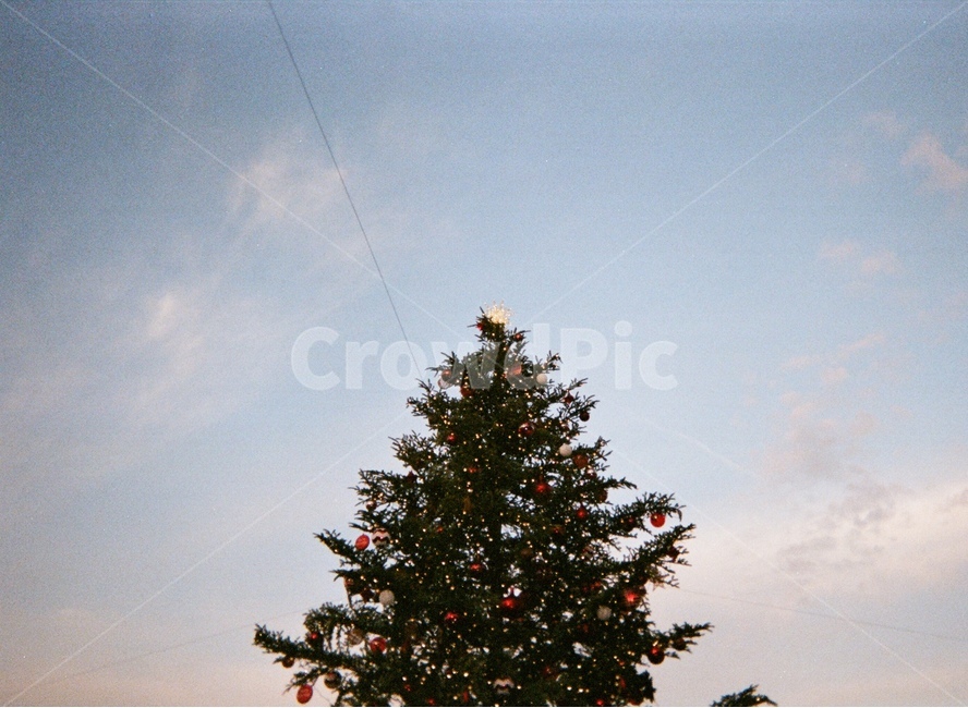 겨울,크리스마스,트리,크리스마스트리,감성,분위기,힐링,일본,도쿄,필름카메라,christmas,christmastree,xmas,하늘,filmcamera,japan,배경,mood,healing