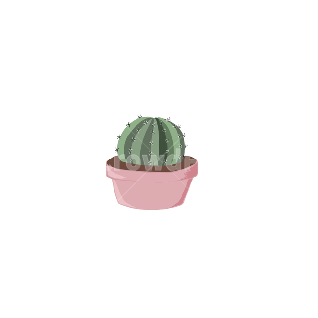 식물,화분,선인장,plant,초록색,그래픽,일러스트레이션,graphic,illustration