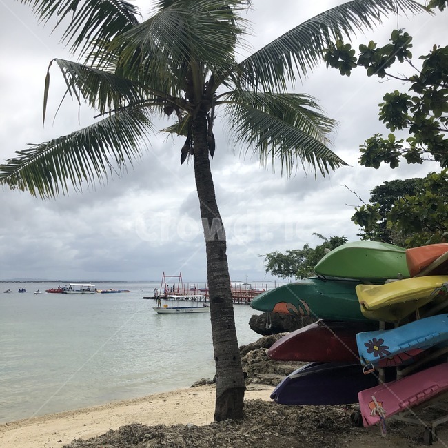summer,여름,세부,cebu,야자수,plamtree,보트,카약,바다,sea,해변가,beach,나무,tree,색채,색감,color,구름,하늘,sky,blue