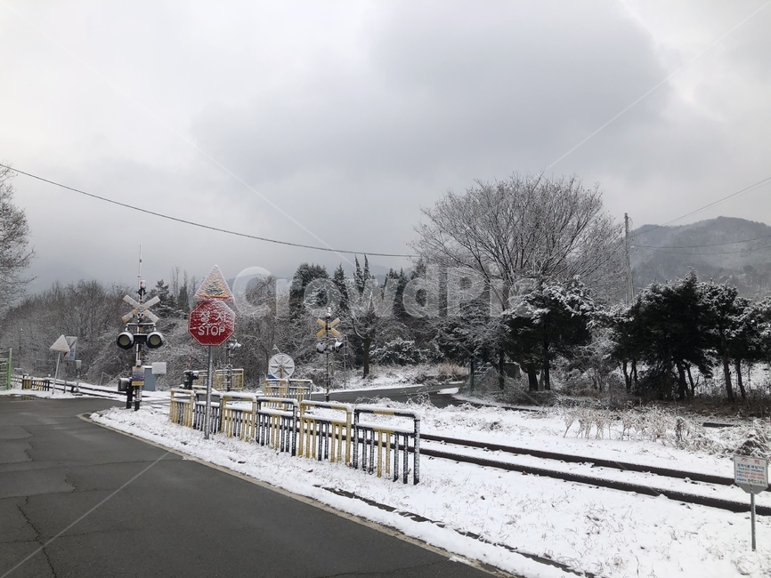 눈,겨울,winter,기차,시골,겨울,계절,winter,season