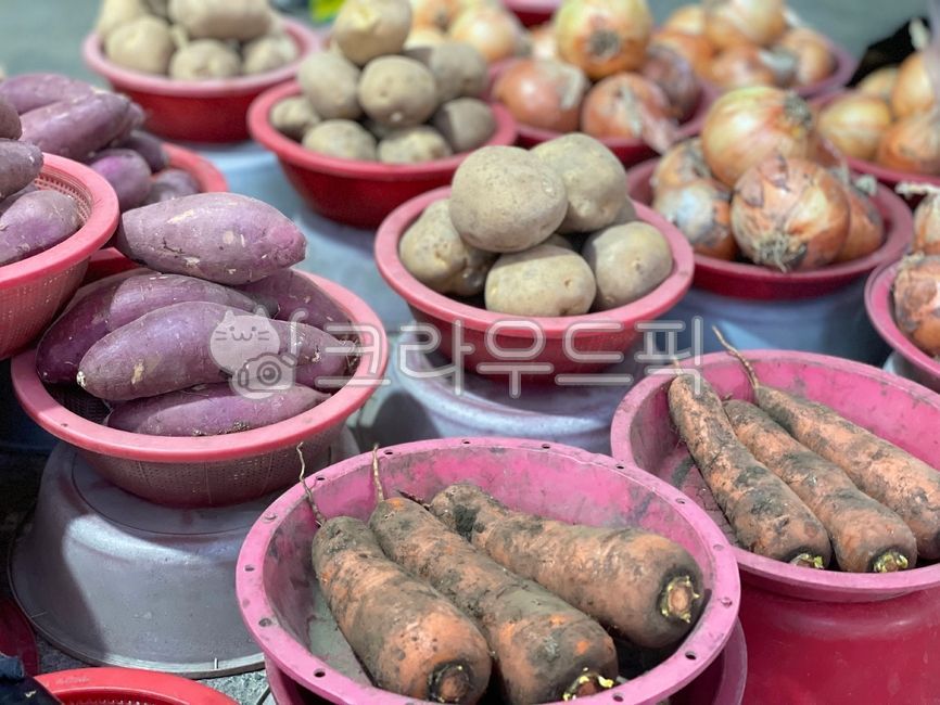 red bowl,sweet potato,onion,tomato,vegetable,bowl,food,sweettomato,potato,mortar shell,carrot