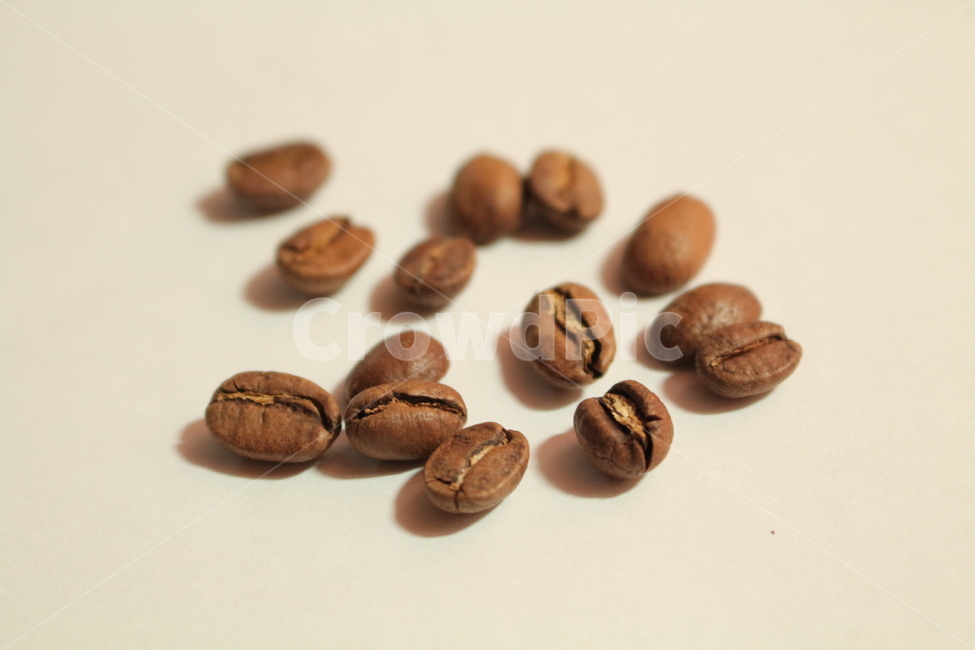 원두,콩,커피,로스팅,약배전,카페,커피,카페,coffee,cafe